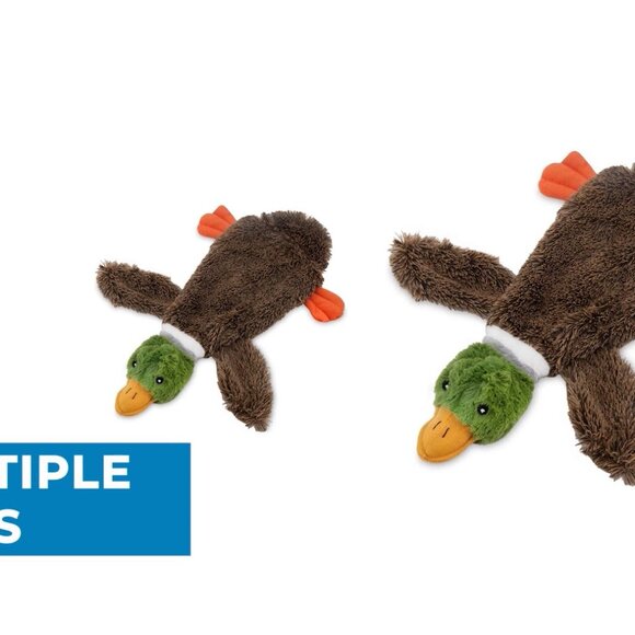 Stuffless Squeaky Dog Toys Set of 4 Plush Interactive Chew Toys - Picture 8 of 8